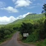 Nature Group Cottage